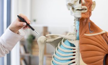 Best Physiotherapy Singapore: Complete Guide