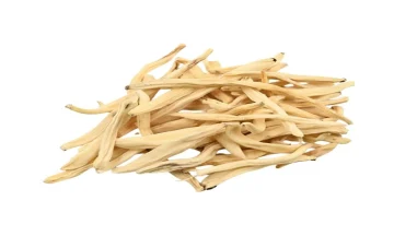 Safed Musli for Men and Women: A Complete Guide to Ayurveda's Most Versatile Vitality Herb